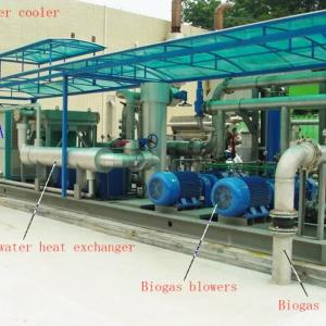 Biogas/landfill gas dehumidifier system